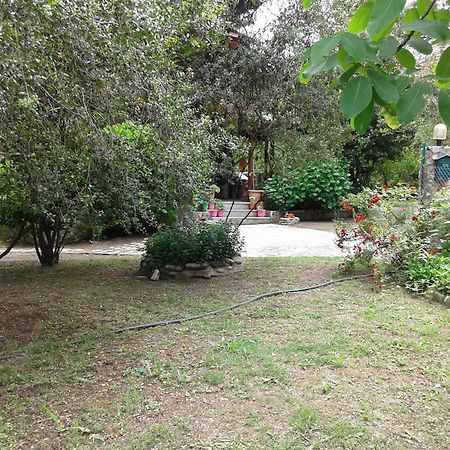 Akamatis Giorgos Otel Therma  Dış mekan fotoğraf