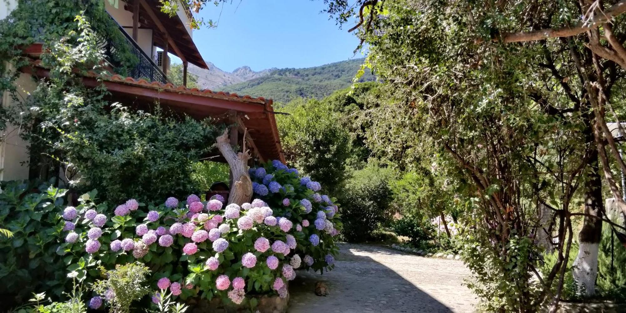 Akamatis Giorgos Otel Therma  Dış mekan fotoğraf