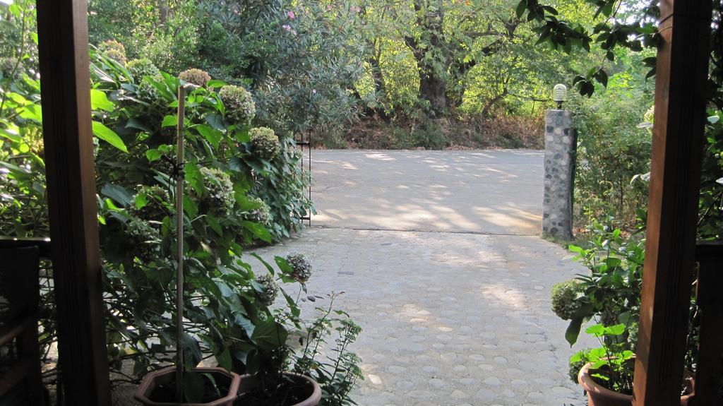 Akamatis Giorgos Otel Therma  Dış mekan fotoğraf