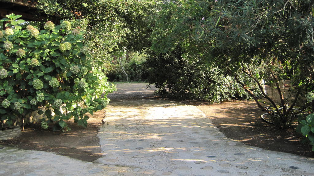 Akamatis Giorgos Otel Therma  Dış mekan fotoğraf