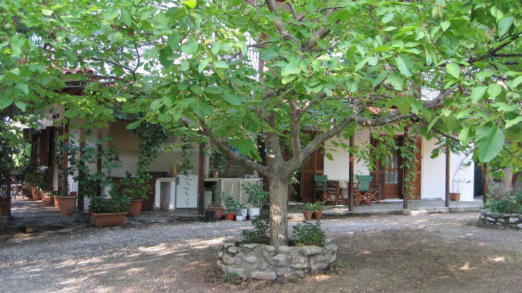 Akamatis Giorgos Otel Therma  Dış mekan fotoğraf