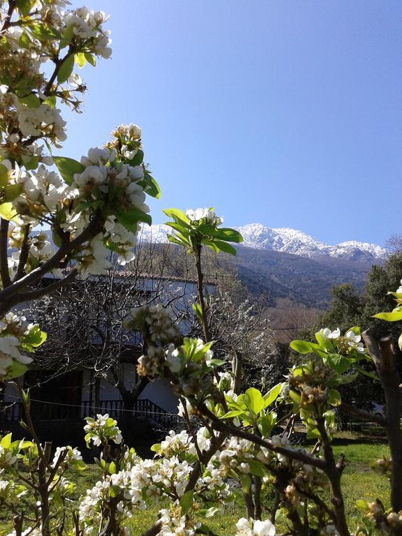 Akamatis Giorgos Otel Therma  Dış mekan fotoğraf