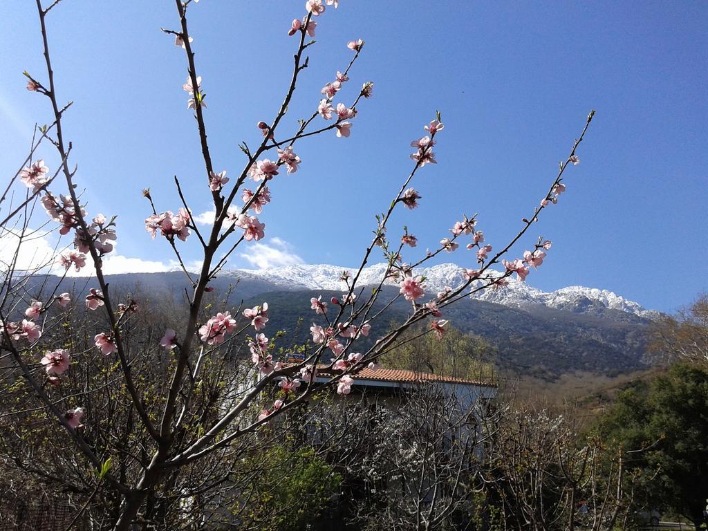 Akamatis Giorgos Otel Therma  Dış mekan fotoğraf
