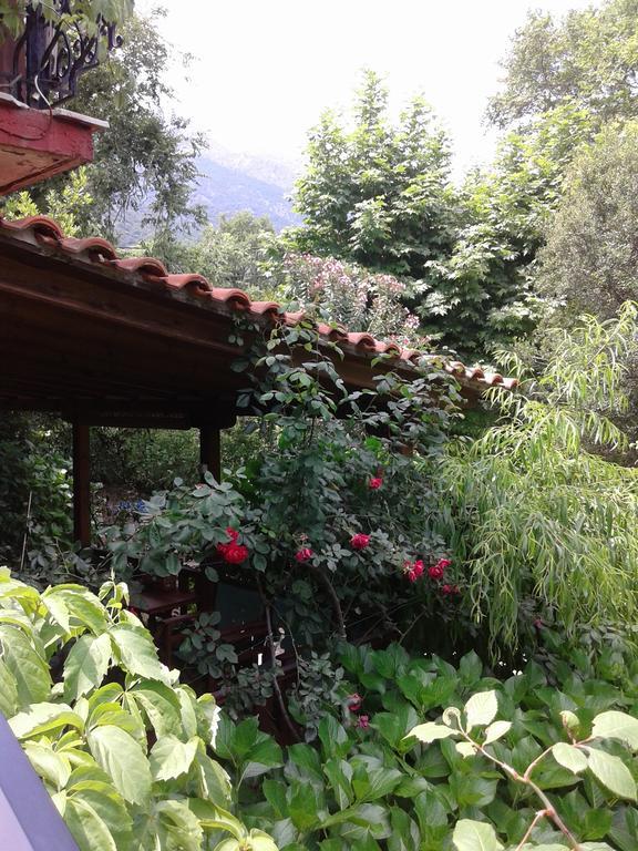 Akamatis Giorgos Otel Therma  Dış mekan fotoğraf