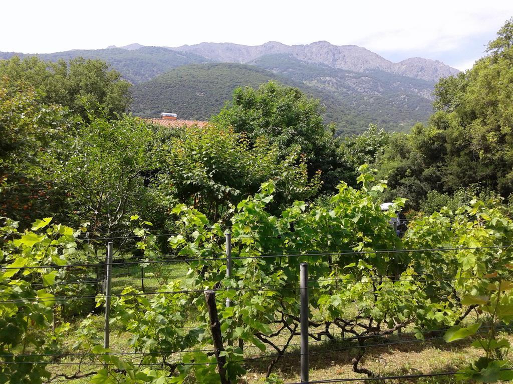 Akamatis Giorgos Otel Therma  Dış mekan fotoğraf