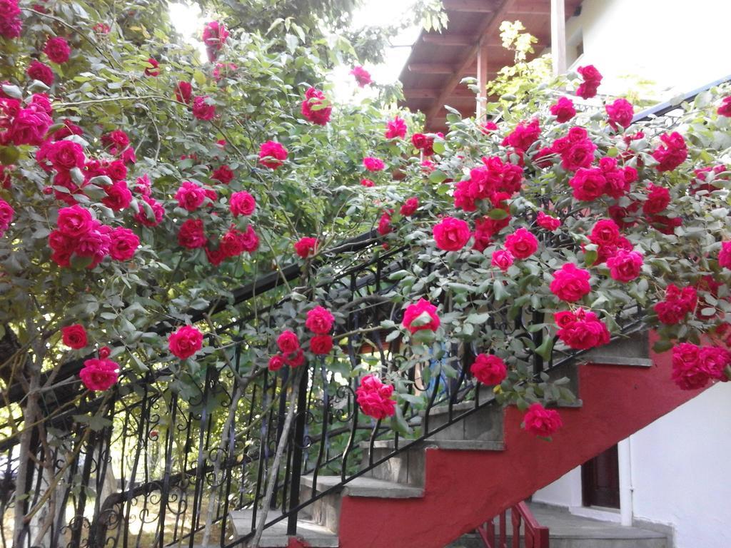 Akamatis Giorgos Otel Therma  Dış mekan fotoğraf