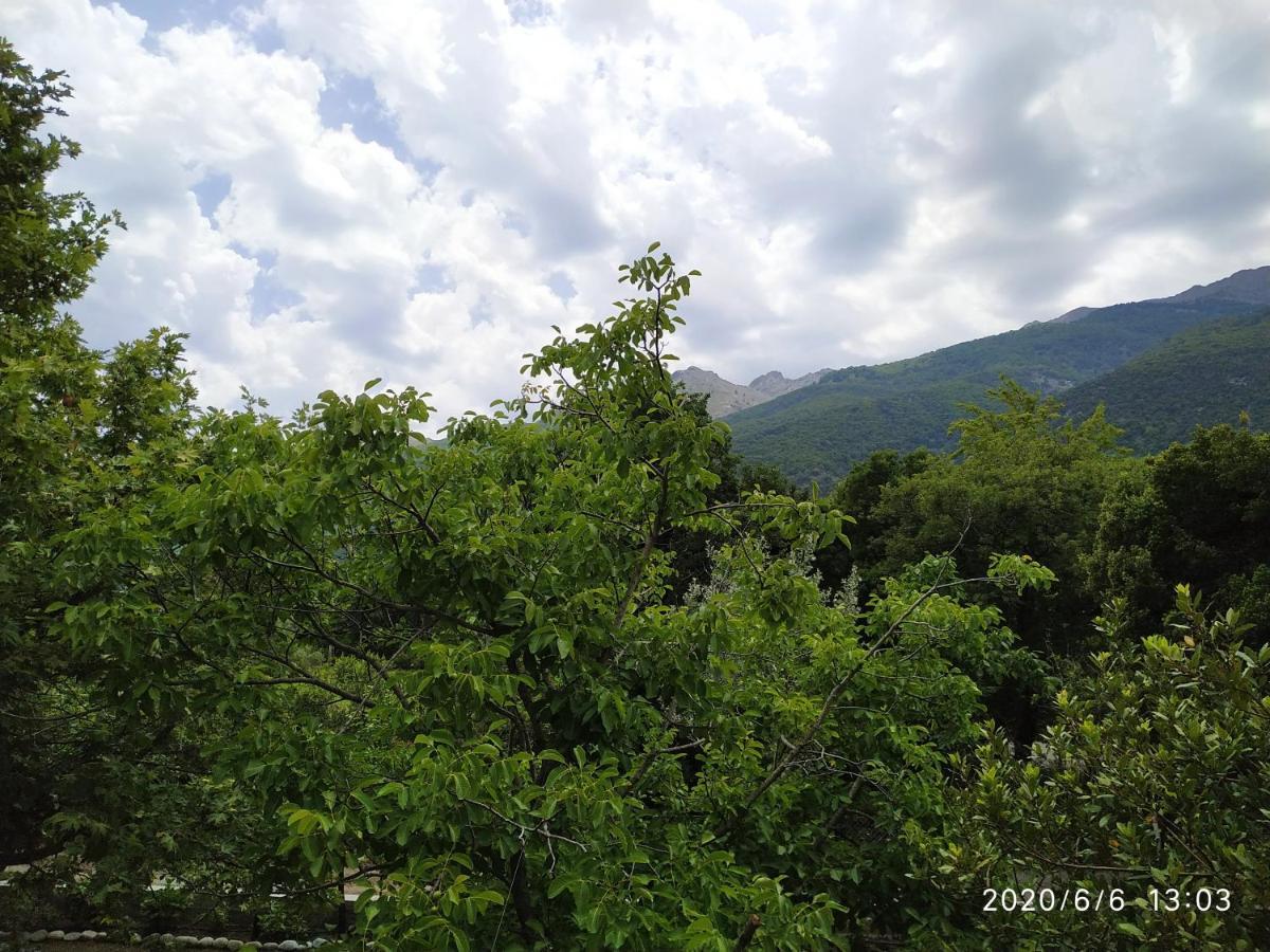 Akamatis Giorgos Otel Therma  Dış mekan fotoğraf